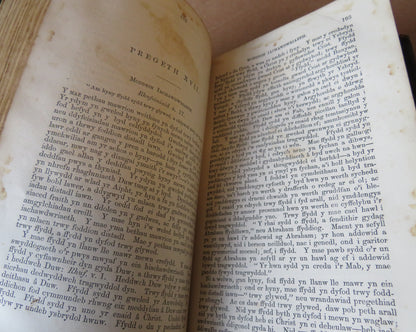 Pregethau Y Diweddar Barch. John Jones Tal-Y-Sarn Gyda Rhagdraeth Gan Y Golygydd 1869 book image 8