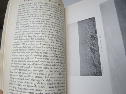 Wanderings In Wild Australia by Baldwin Spencer, 1928, Vol I & II, Antique Book book image 6
