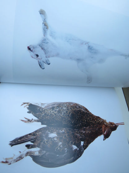 Stilleven Photographs By Simon Upton 2012 book image 5