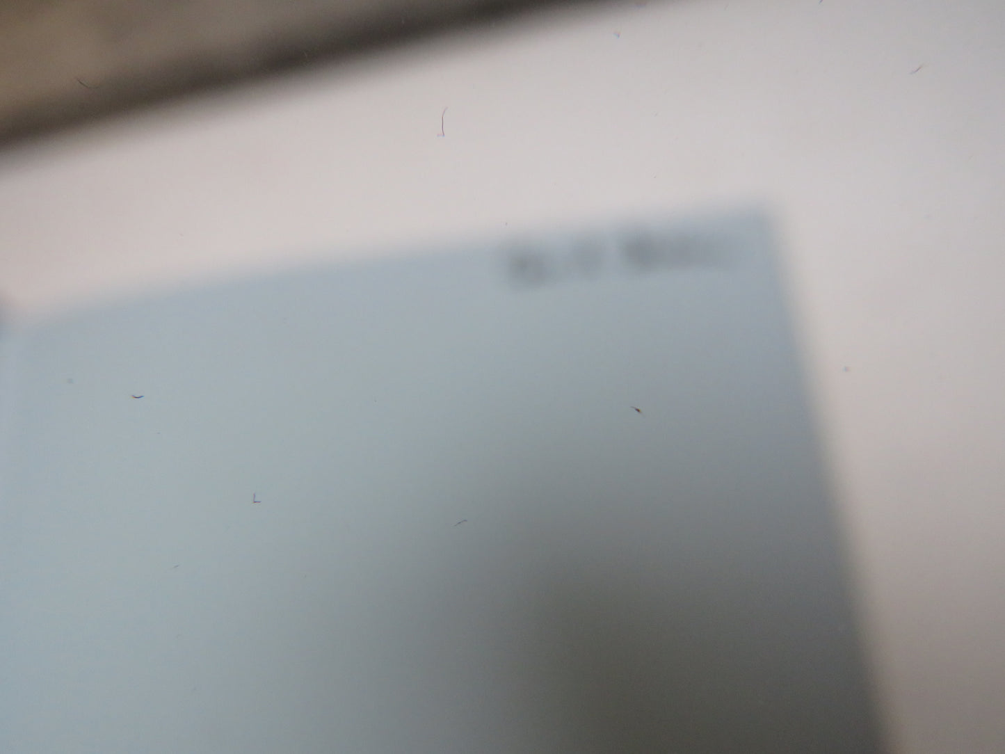 Calendar of Papal Letters To Scotland of Benedict XIII of Avignon 1394-1419 Edited By Francis McGurk 1976