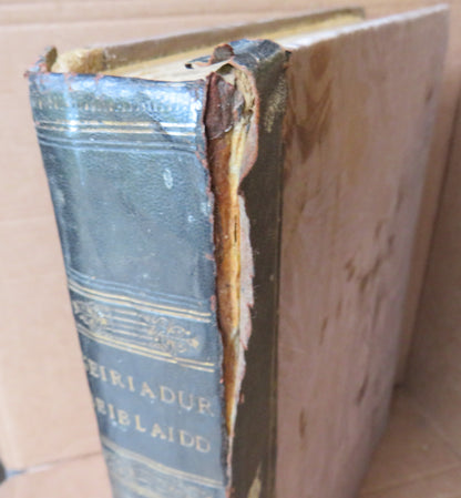 Agraphiad Newydd O Eiriadur Beiblaidd Y Barch John Brown book image 3
