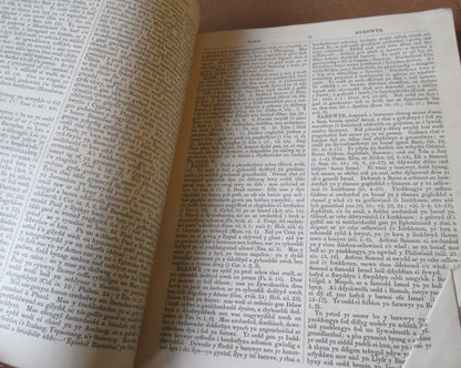 Agraphiad Newydd O Eiriadur Beiblaidd Y Barch John Brown book image 6