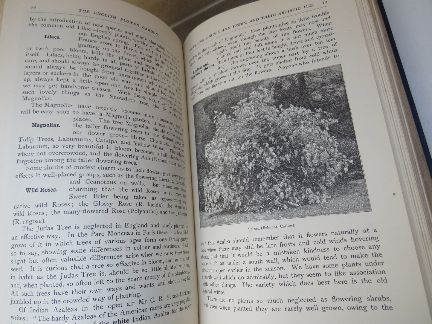 The English Flower Garden and Home Grounds Of Hardy Trees and Flowers Only, By W. Robinson 15th Edition