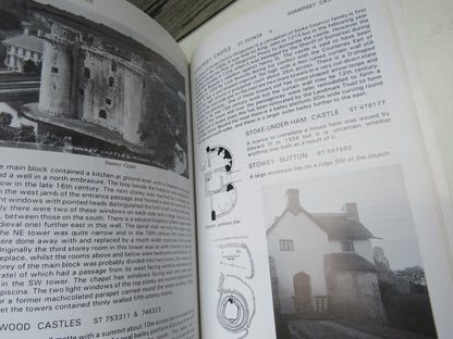The Castles of Wessex By Mike Salter 2002