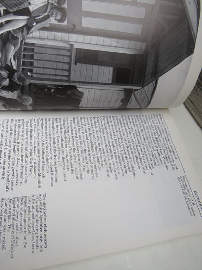 Ayrshire & Arran An Illustrated Architectural Guide By Rob Close 1992