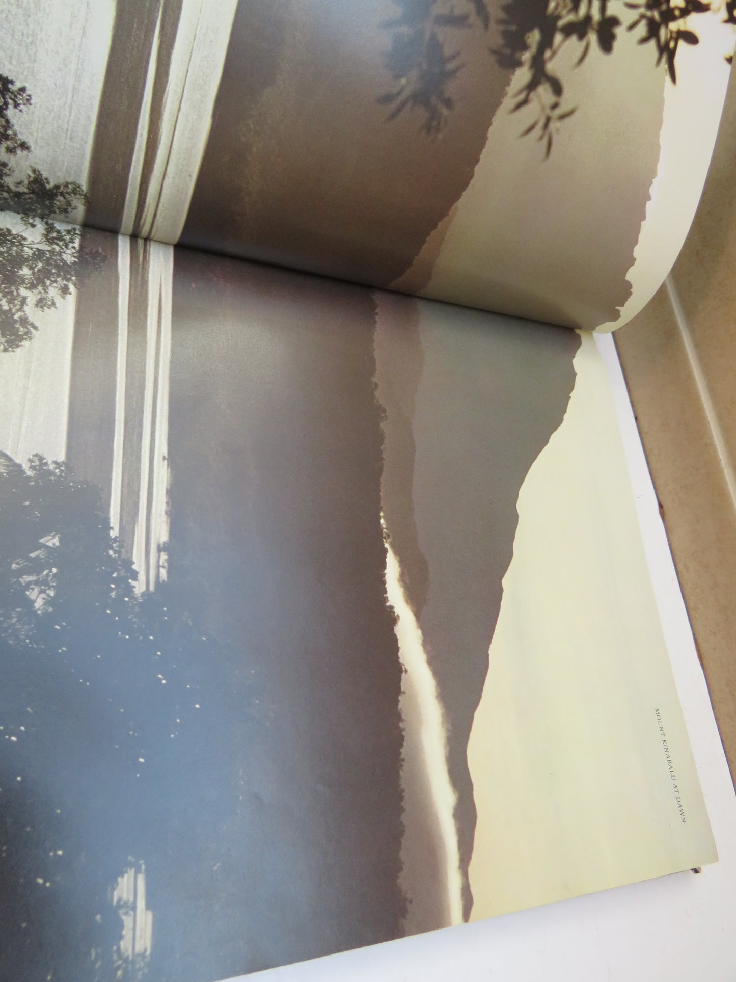 Borneo By John Mackinnon 1978