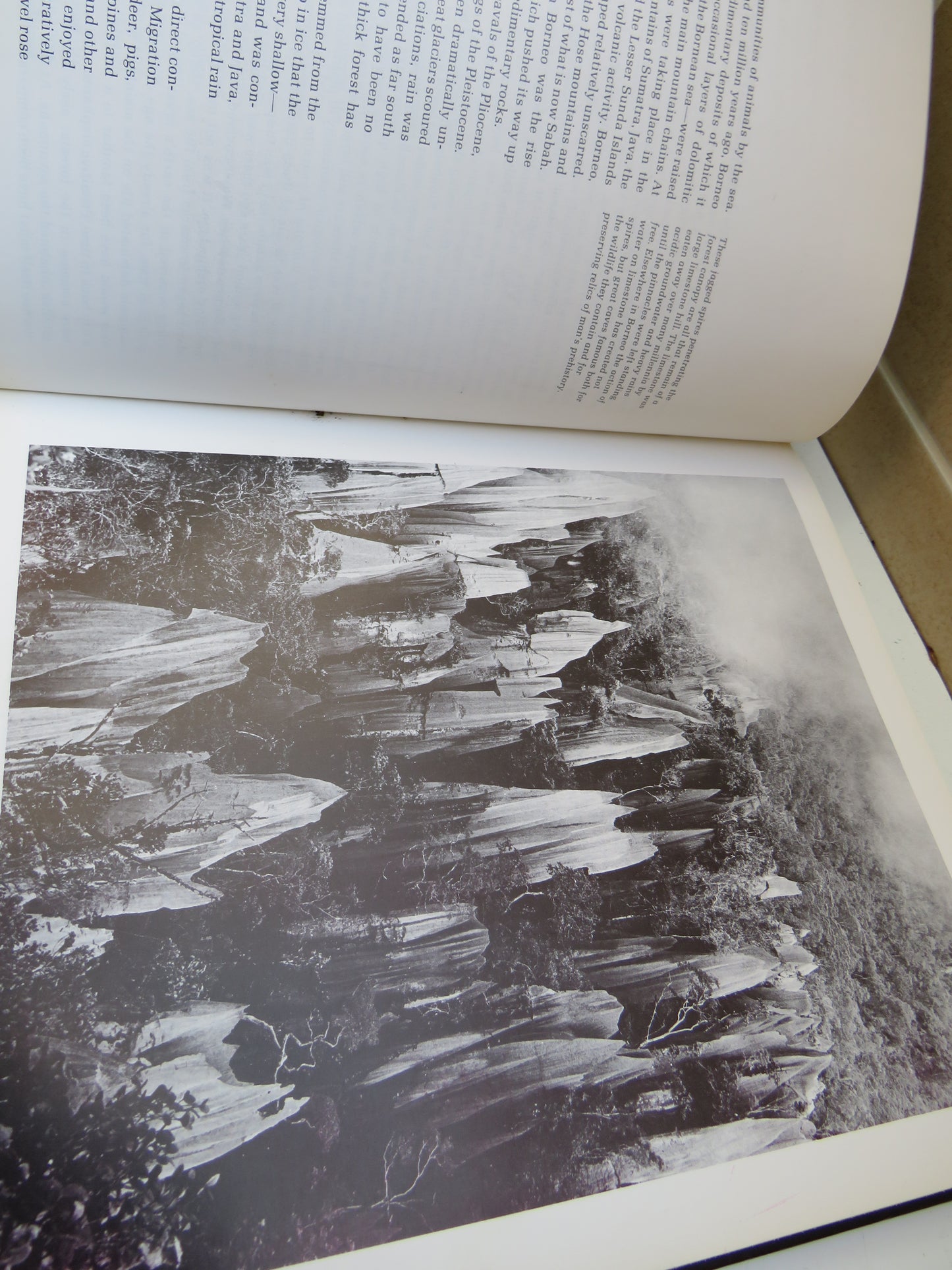 Borneo By John Mackinnon 1978