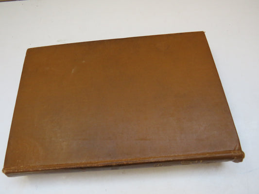 The Master of Ballantrae, A Winter's Tale, by Robert Louis Stevenson, 1891, Antique Classic Novel