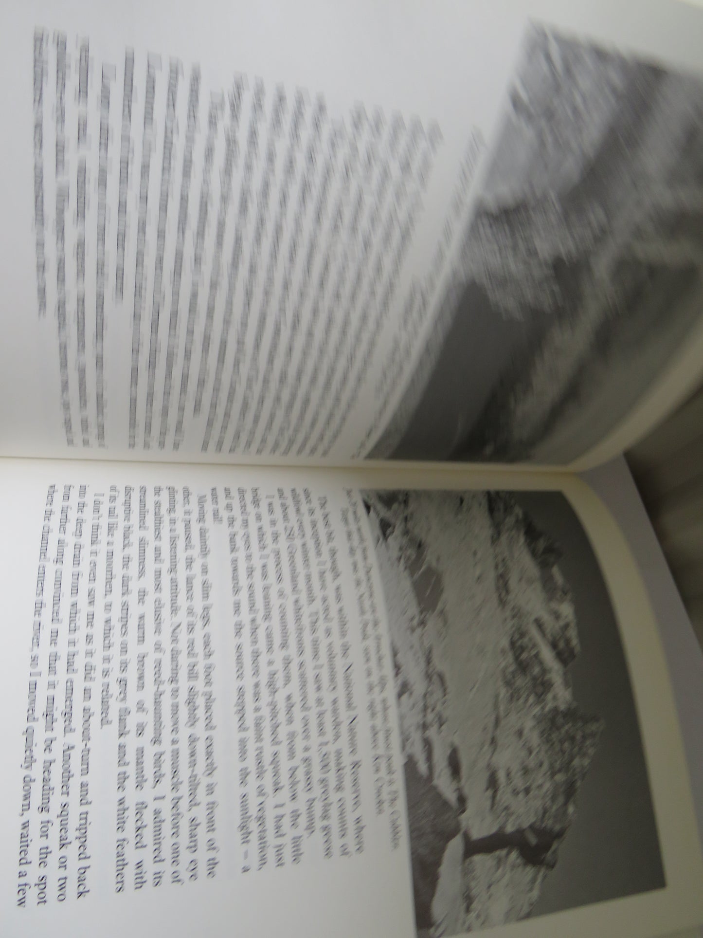 Exploring Scotland With Tom Weir 1991