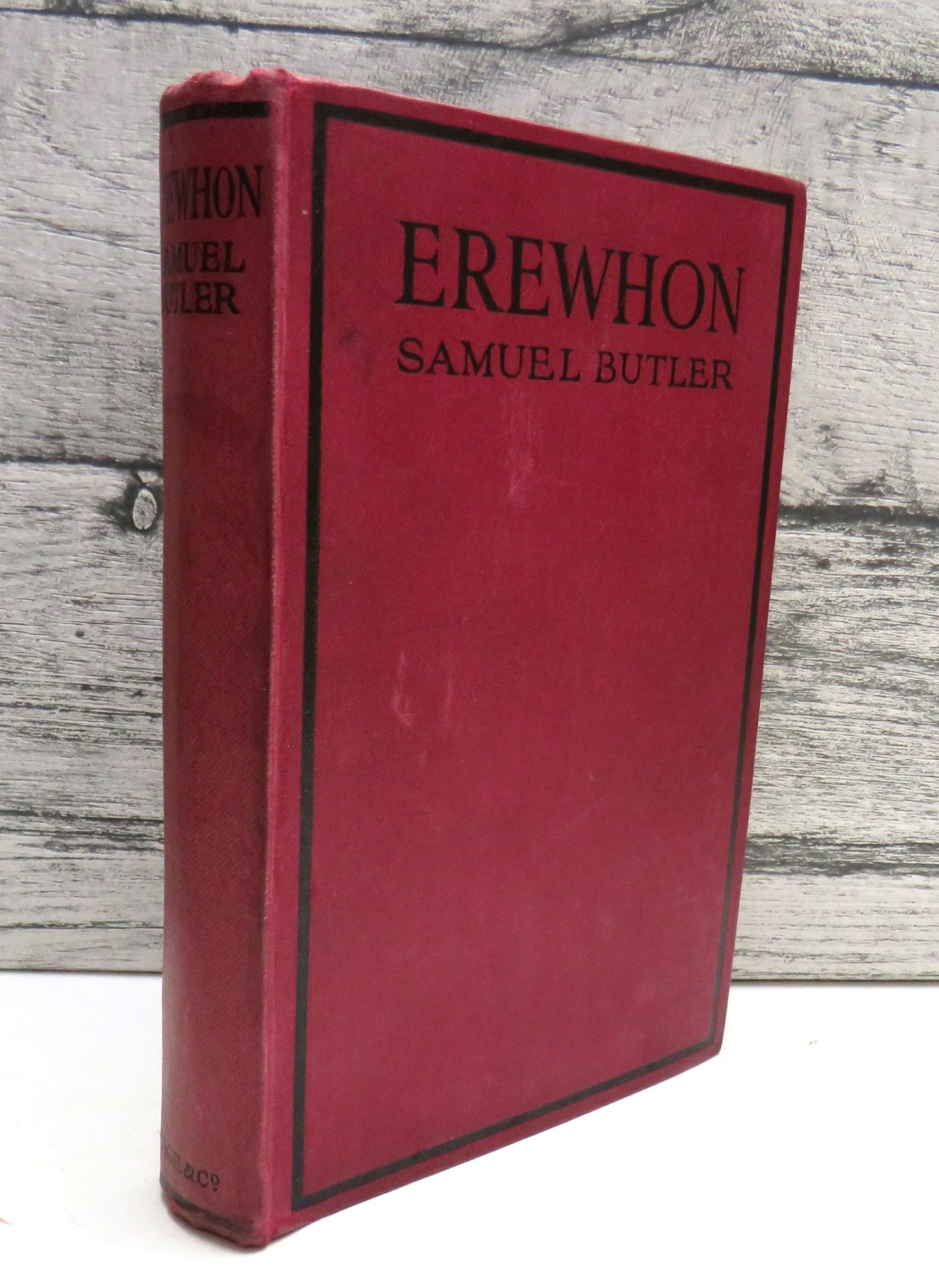 Erewhon: or Over the Range by Samuel Butler, 1924