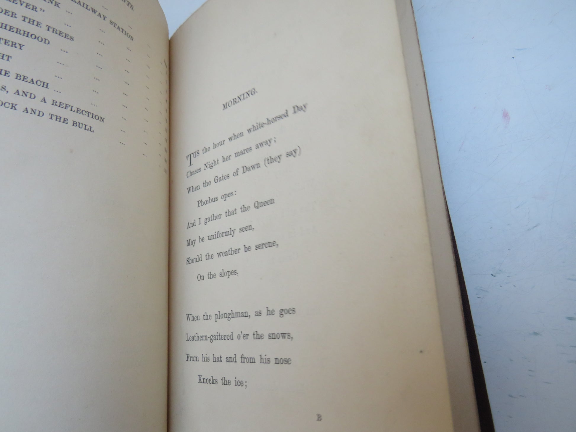 Fly Leaves By C.S.C 1872 book image 5