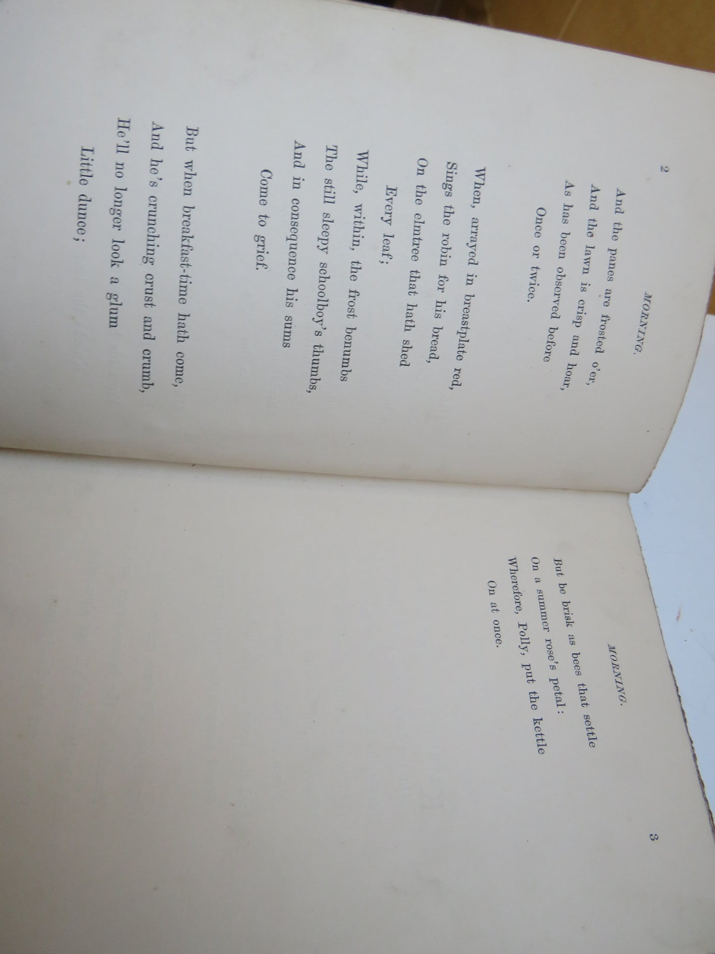 Fly Leaves By C.S.C 1872 book image 6