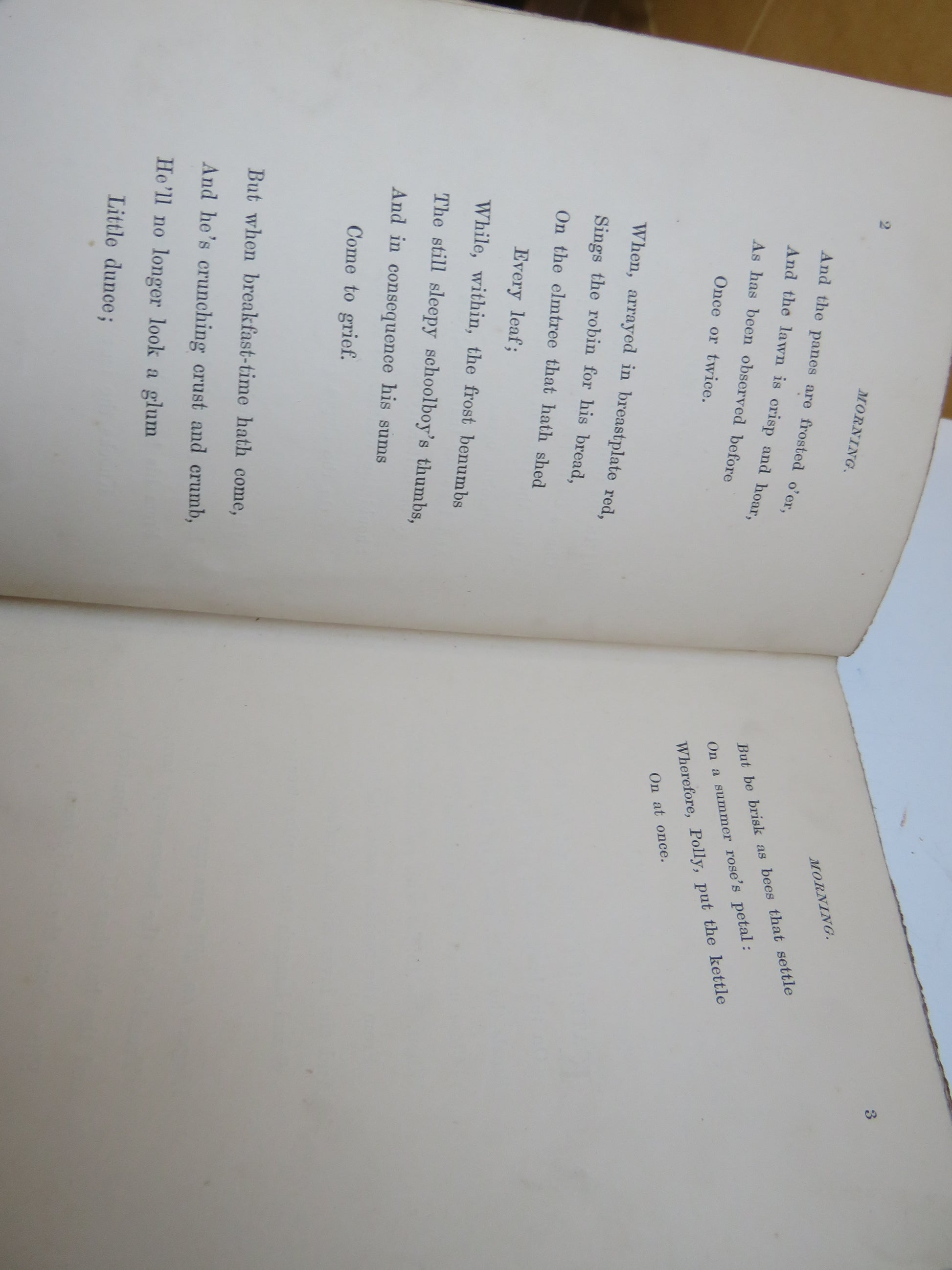 Fly Leaves By C.S.C 1872 book image 6