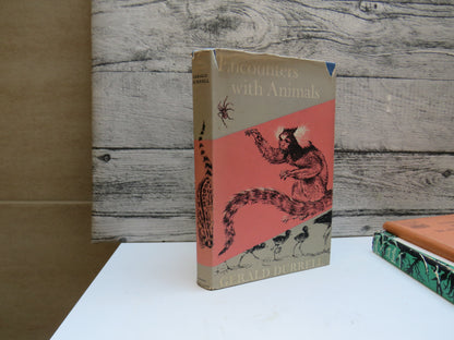 Encounters With Animals By Gerald Durrell 1958 With Illustrations By Ralph Thompson book image 2