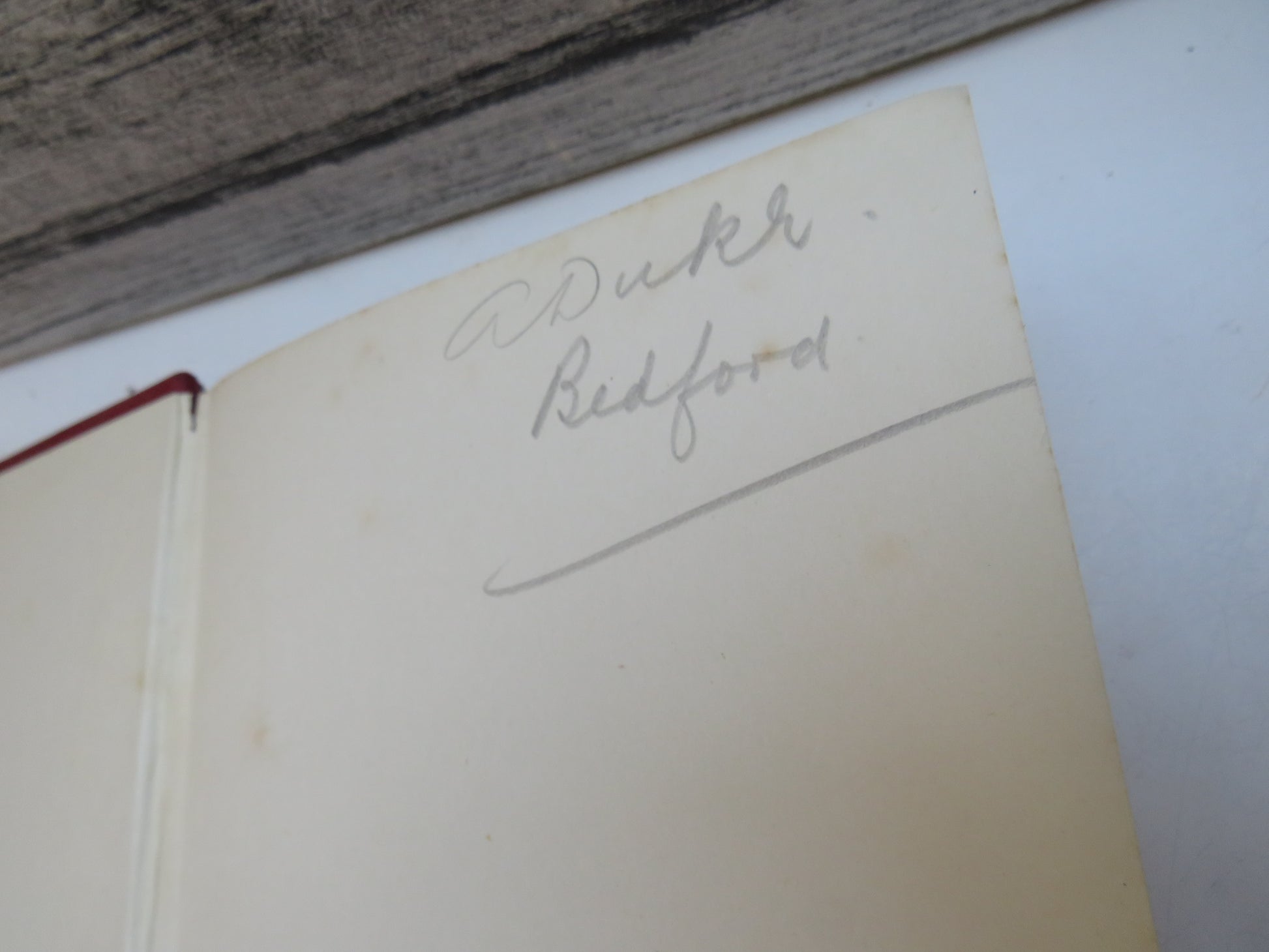 The Wild Horses of Iceland By Svend Fleuron Translated From The Danish book image 3