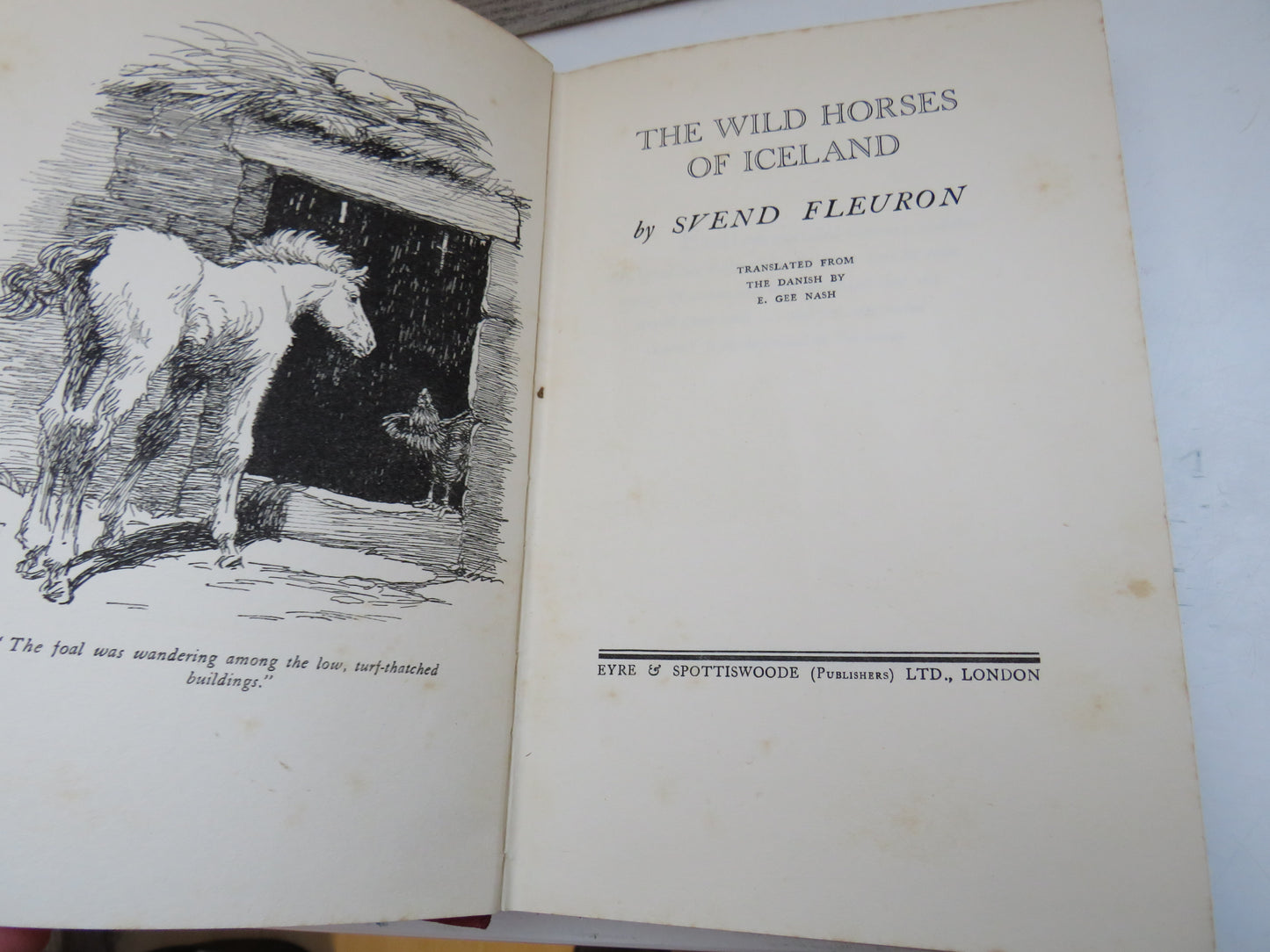 The Wild Horses of Iceland By Svend Fleuron Translated From The Danish book image 4