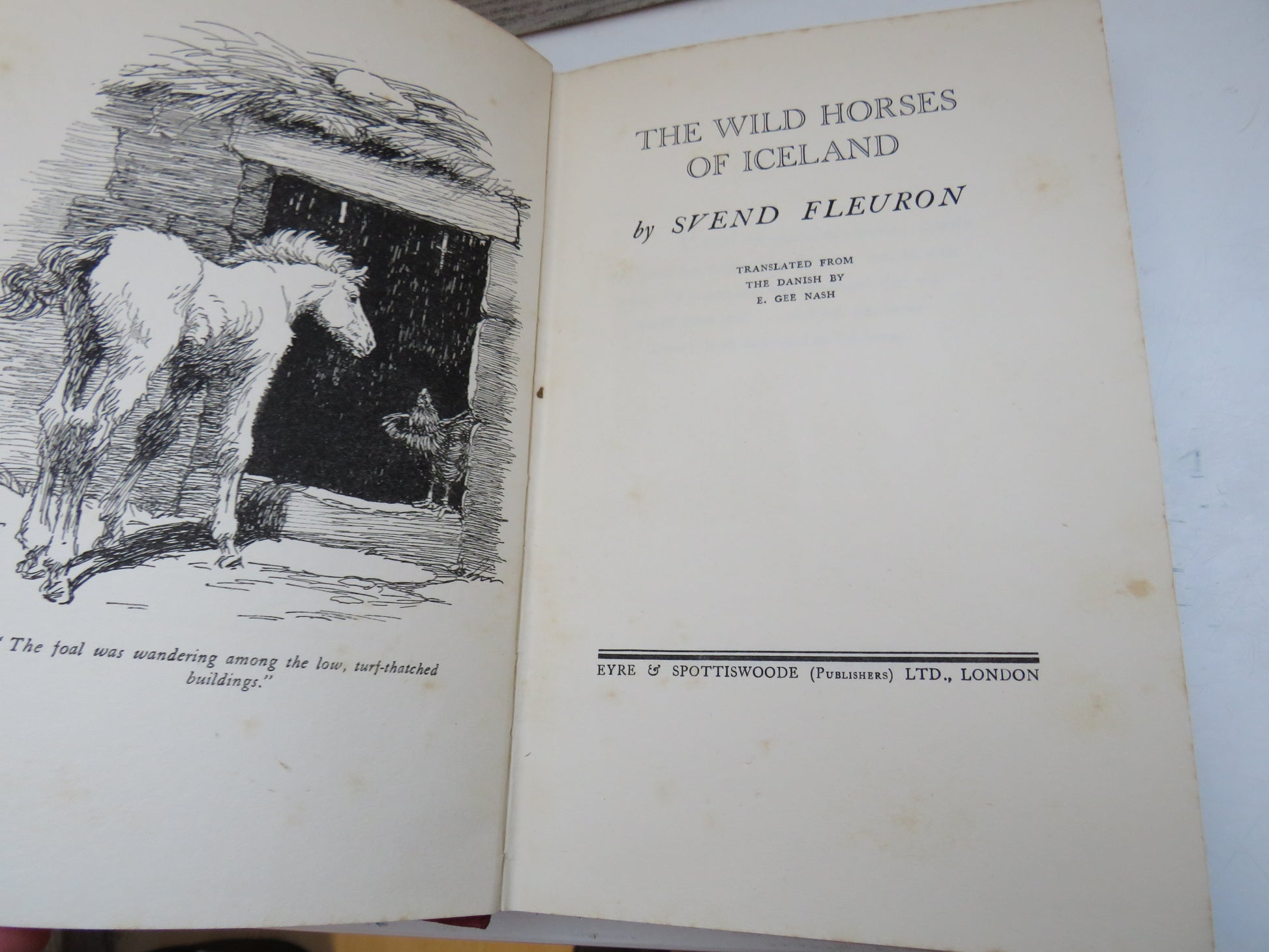 The Wild Horses of Iceland By Svend Fleuron Translated From The Danish book image 4