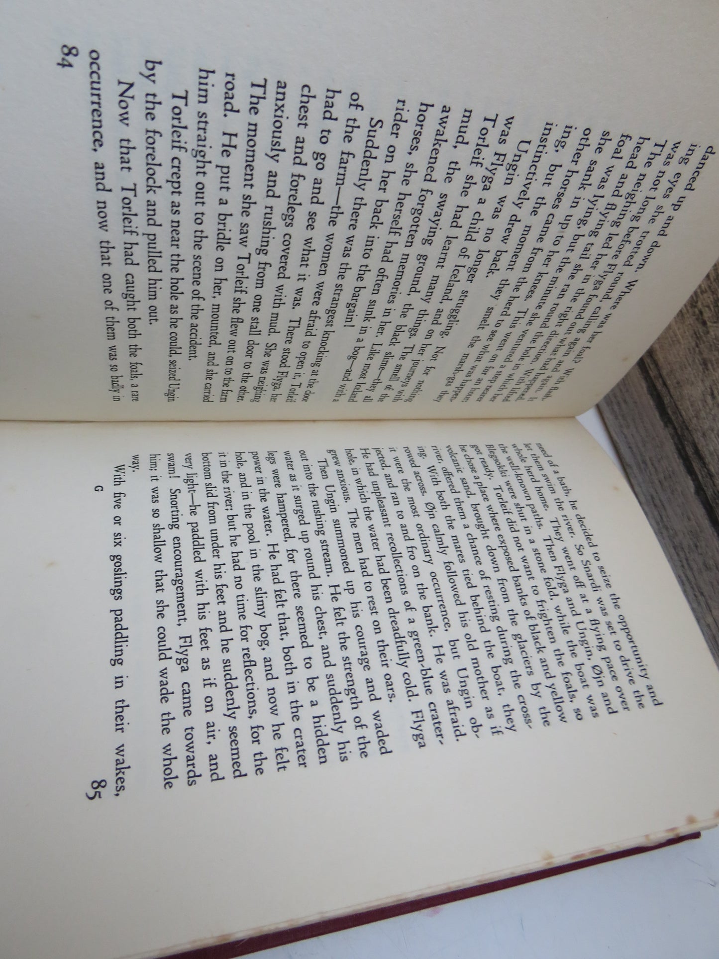 The Wild Horses of Iceland By Svend Fleuron Translated From The Danish book image 6