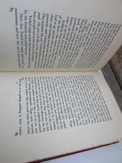 The Wild Horses of Iceland By Svend Fleuron Translated From The Danish book image 6