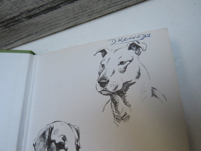 The Incredible Journey By Sheila Burnford 1961 book image 3