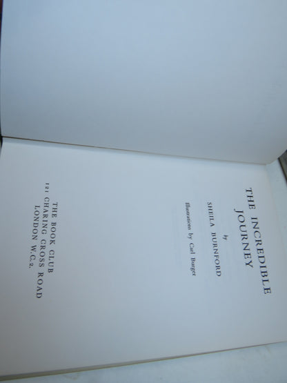 The Incredible Journey By Sheila Burnford 1961 book image 4