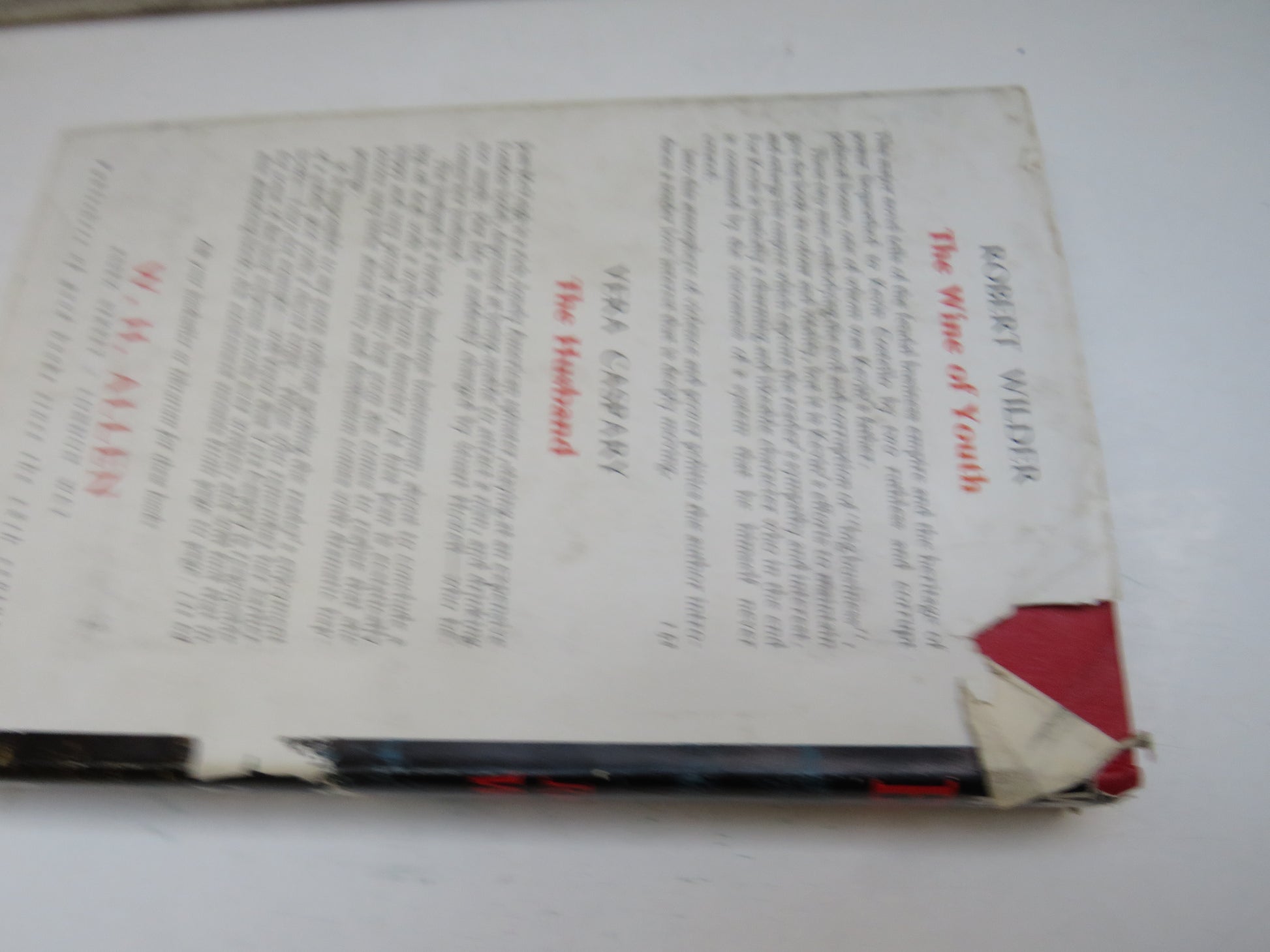 Walk With Evil By Robert Wilder 1958 1st Edition book image 2