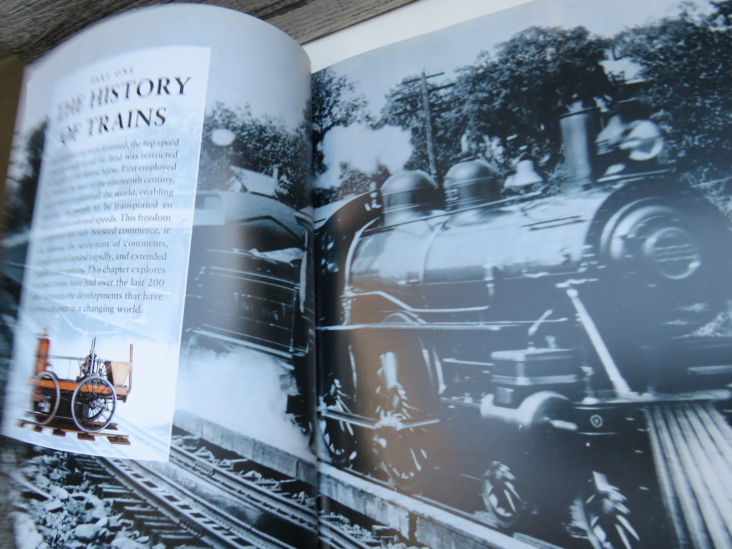 Ultimate Train By Peter Herring 2006