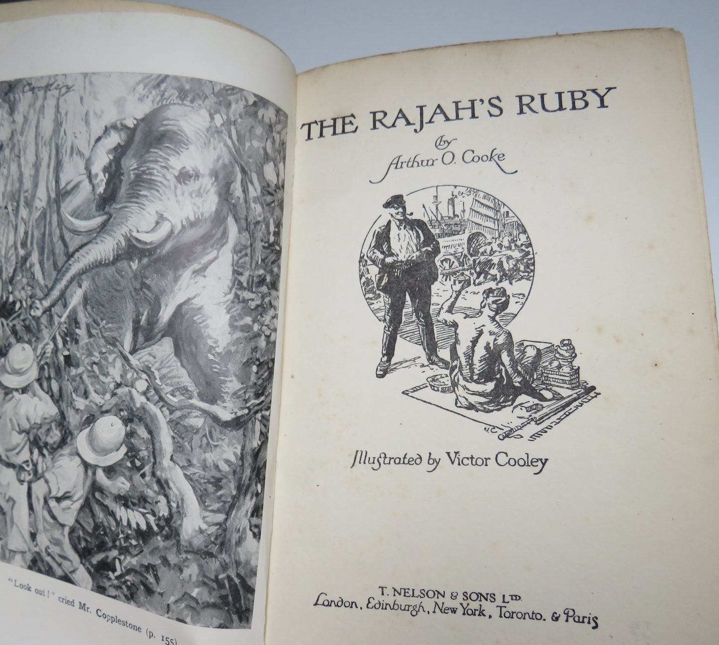 The Rajah's Ruby by Arthur O. Cooke