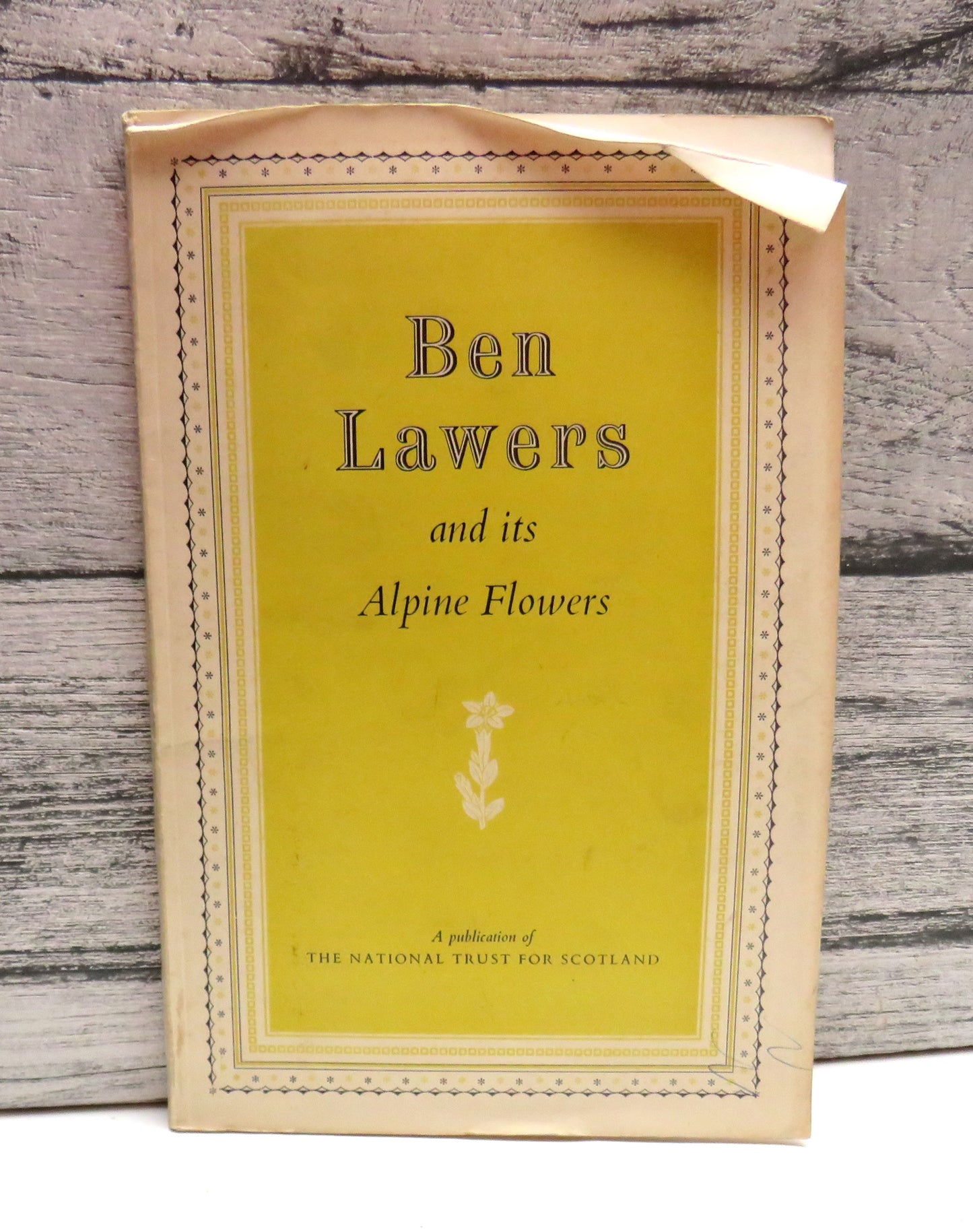 Ben Lawers and Its Alpine Flowers