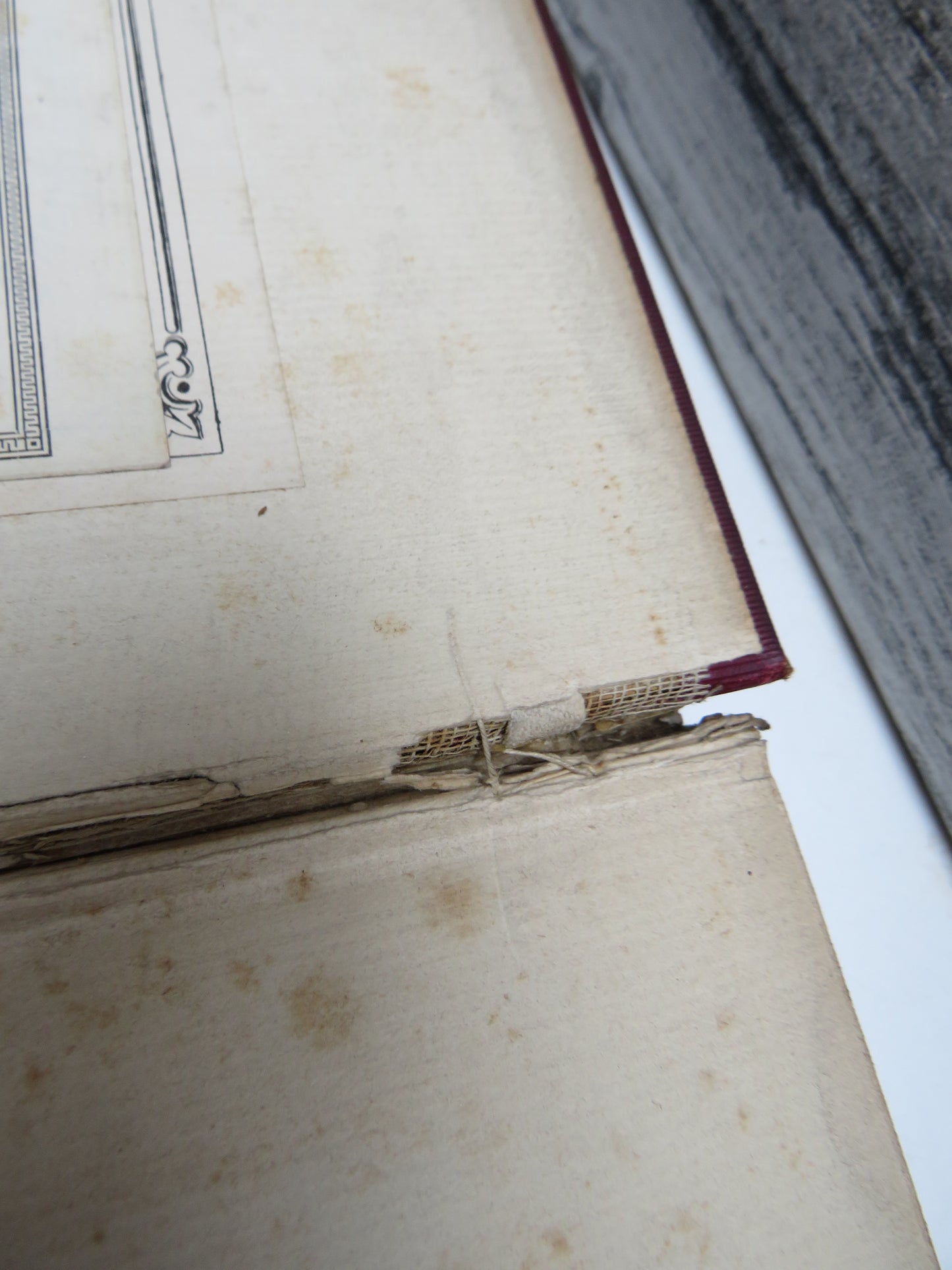 Letters Of Lord Acton To Mary, Daughter of the Right Honourable W.E. Gladstone By Herbert Paul 1904 book image 4