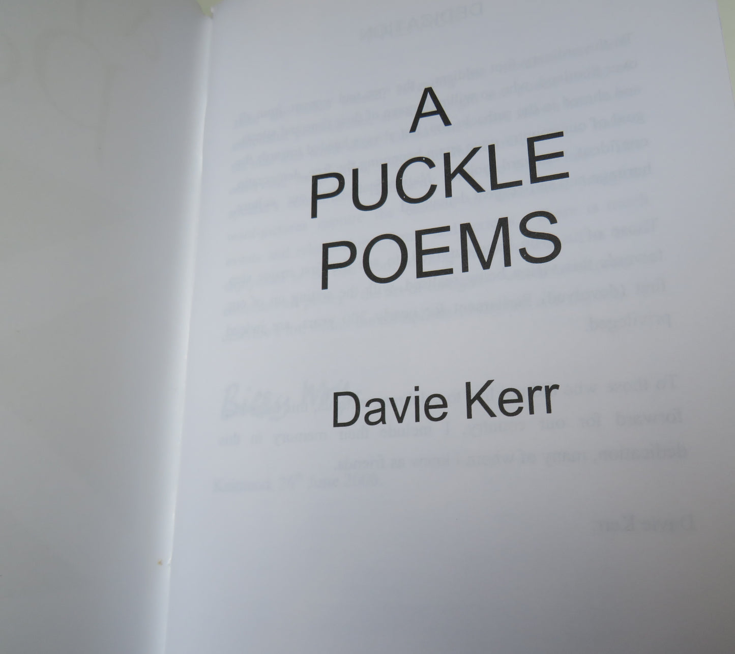 A Puckle Poems by Davie Kerr, 2000