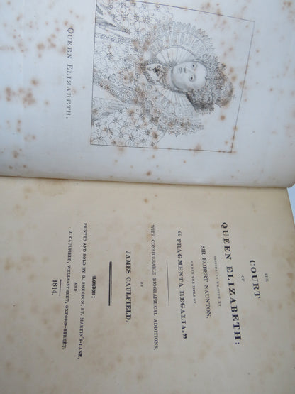The Court of Queen Elizabeth: Originally Written By Sir Robert Naunton Under The Title of "Fragmenta book image 6