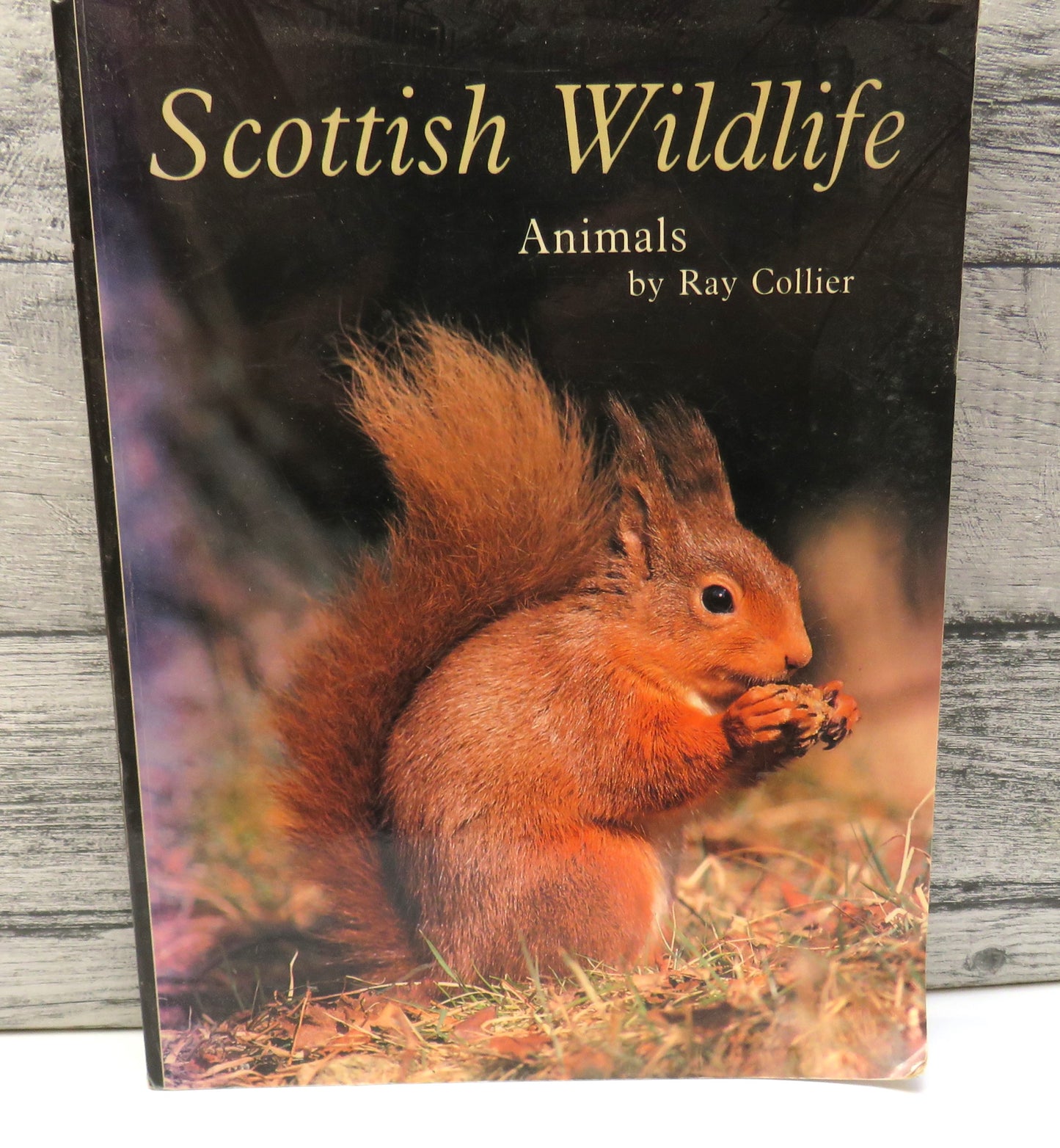 Scottish Wildlife Animals By Ray Collier