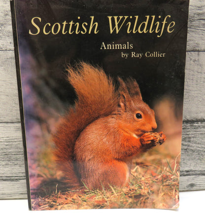 Scottish Wildlife Animals By Ray Collier