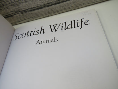 Scottish Wildlife Animals By Ray Collier