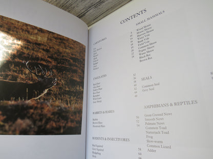 Scottish Wildlife Animals By Ray Collier