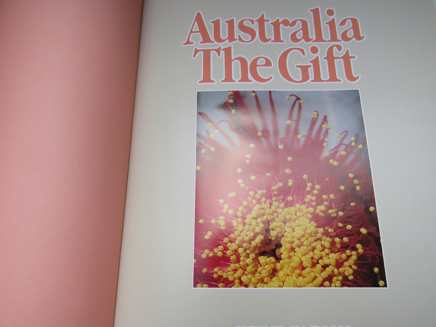 Australia The Gift By Steve Parish