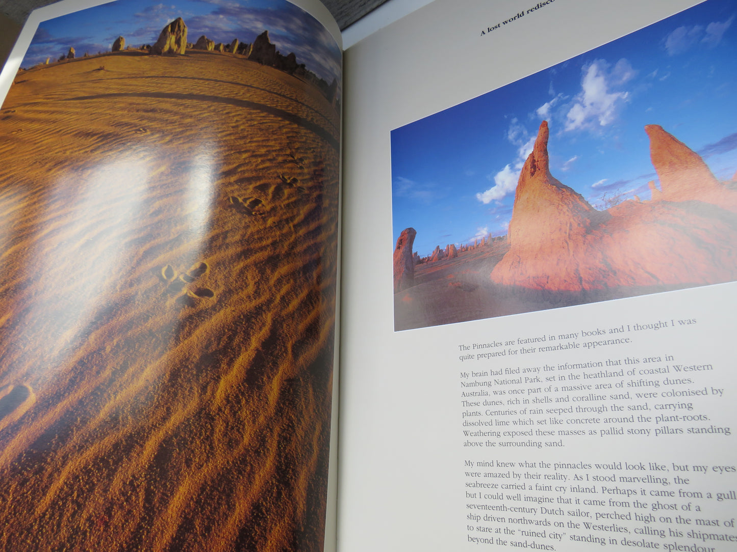 Australia The Gift By Steve Parish
