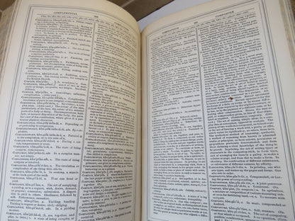 The Imperial Lexicon Of The English Language Exhibiting The Pronunciation, Etymology and Explanation book image 7