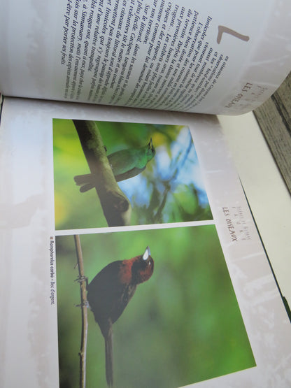 Scenes De Guyane, by Thierry Montford, 1998 book image 6