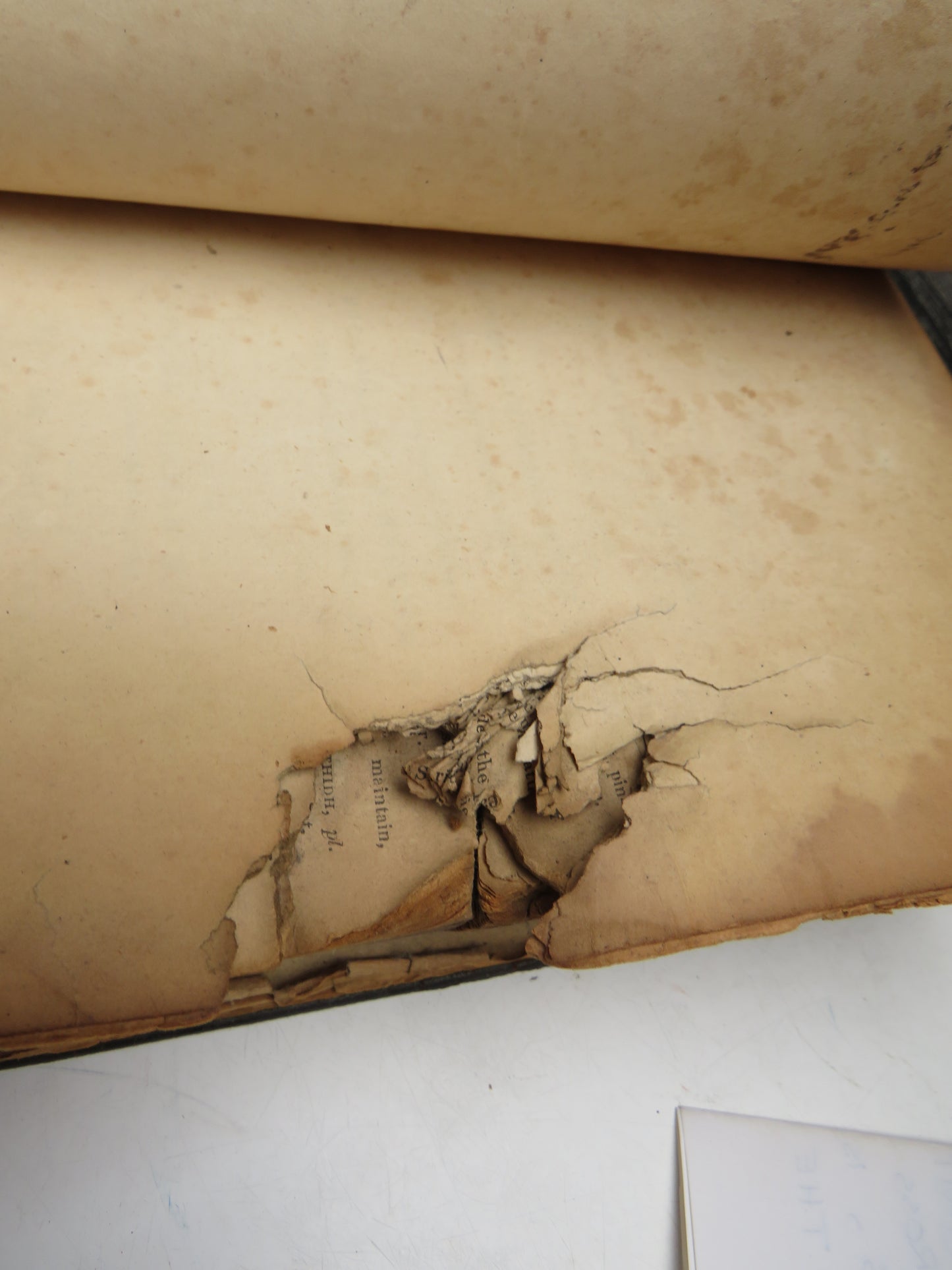 Historical 19thC Scottish Book With Gun Shot A Dictionary of The Gaelic Language In Two Parts 1833 Interesting Scottish Highland Book