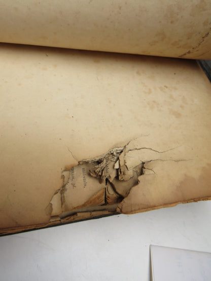 Historical 19thC Scottish Book With Gun Shot A Dictionary of The Gaelic Language In Two Parts 1833 I book image 9