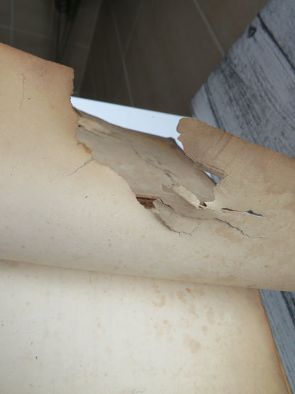 Historical 19thC Scottish Book With Gun Shot A Dictionary of The Gaelic Language In Two Parts 1833 I book image 10