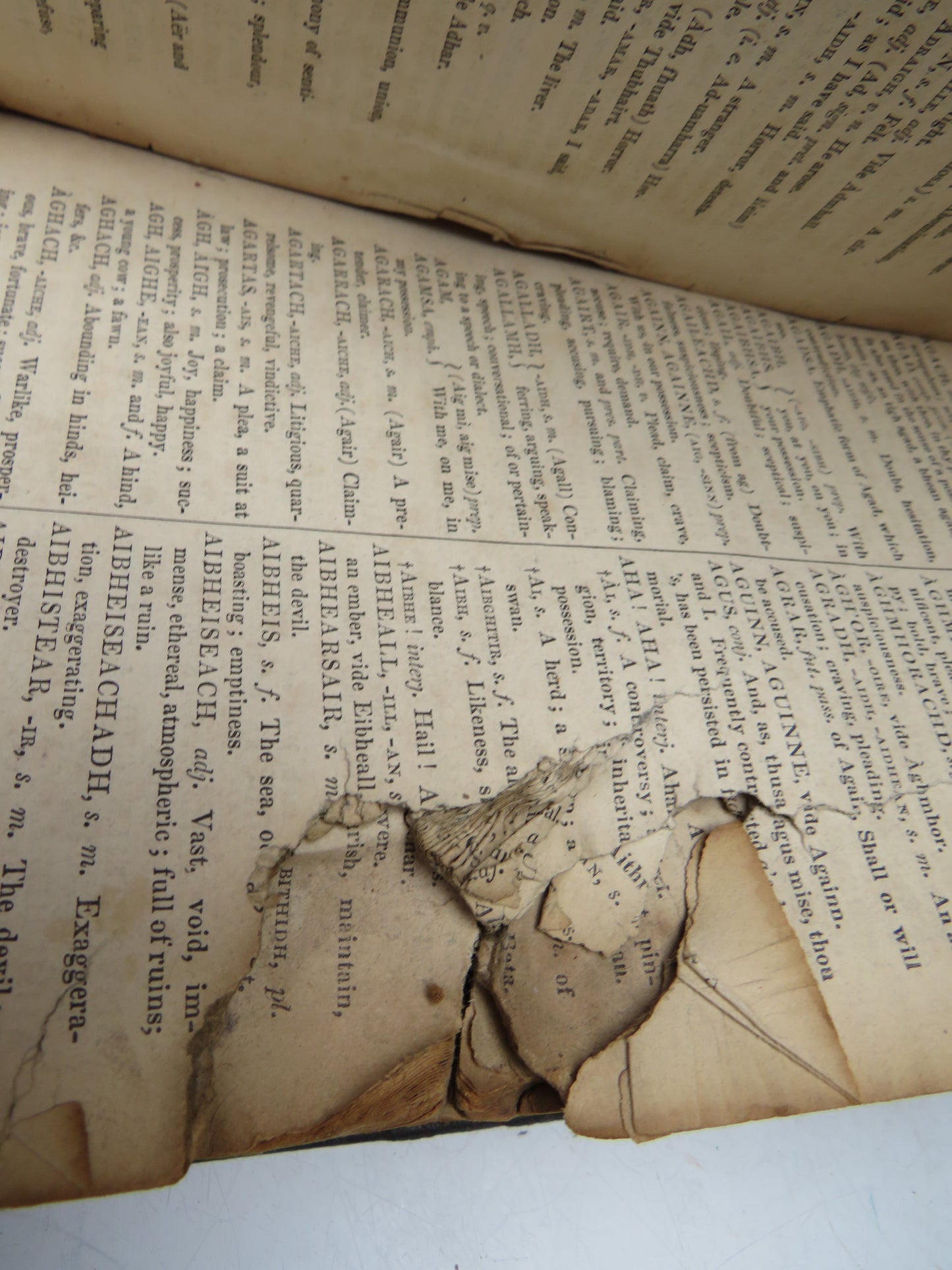 Historical 19thC Scottish Book With Gun Shot A Dictionary of The Gaelic Language In Two Parts 1833 Interesting Scottish Highland Book