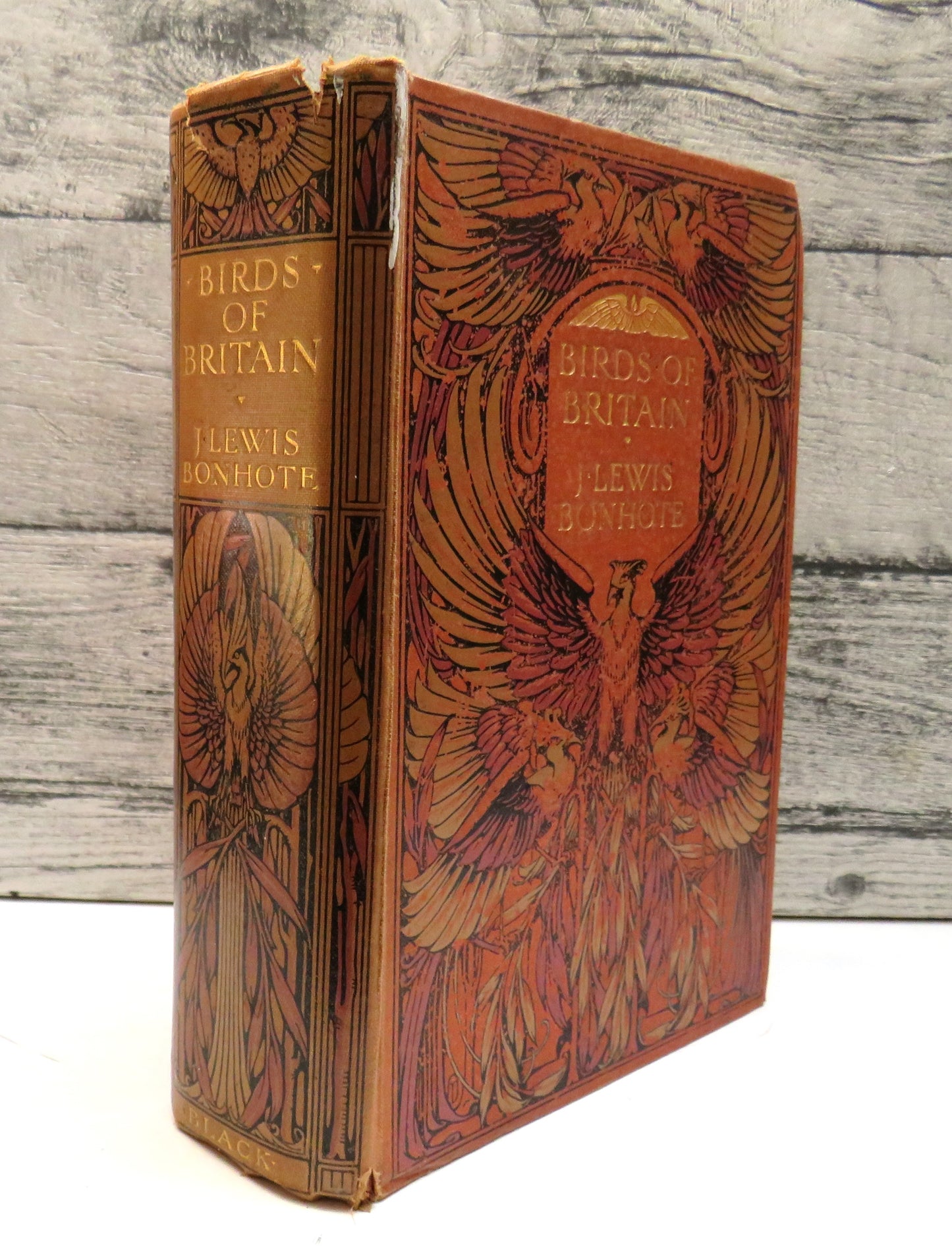 Birds of Britain by J. Lewis Bonhote, 1907