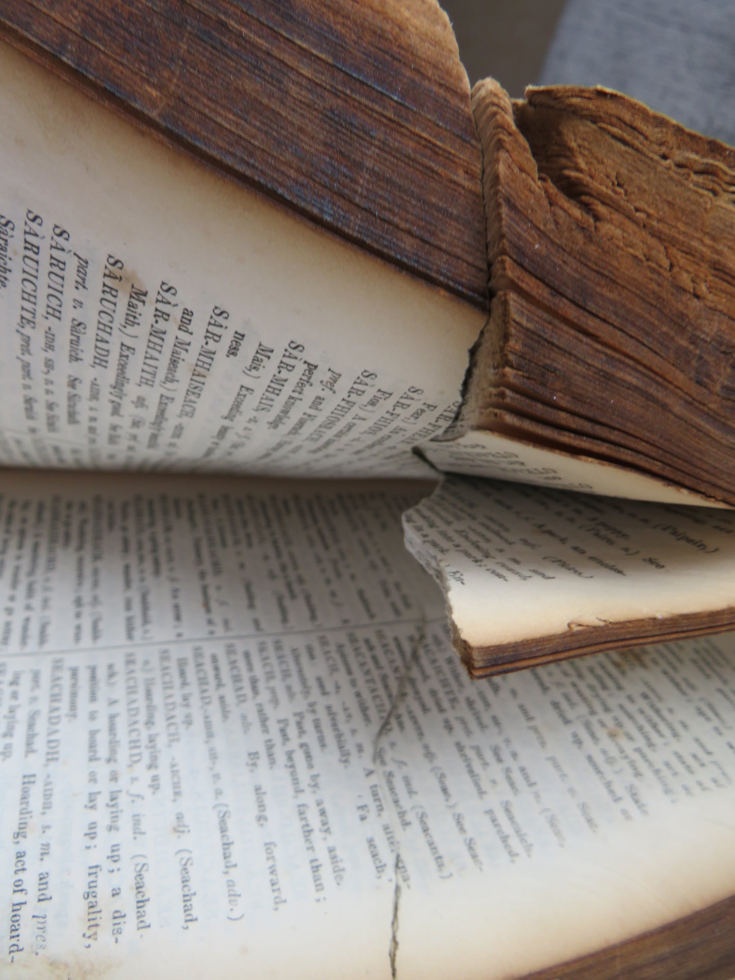 Historical 19thC Scottish Book With Gun Shot A Dictionary of The Gaelic Language In Two Parts 1833 Interesting Scottish Highland Book
