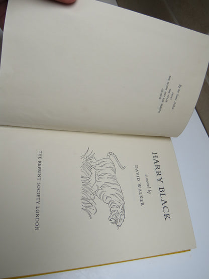 Harry Black A Novel By David Walker 1958 book image 4