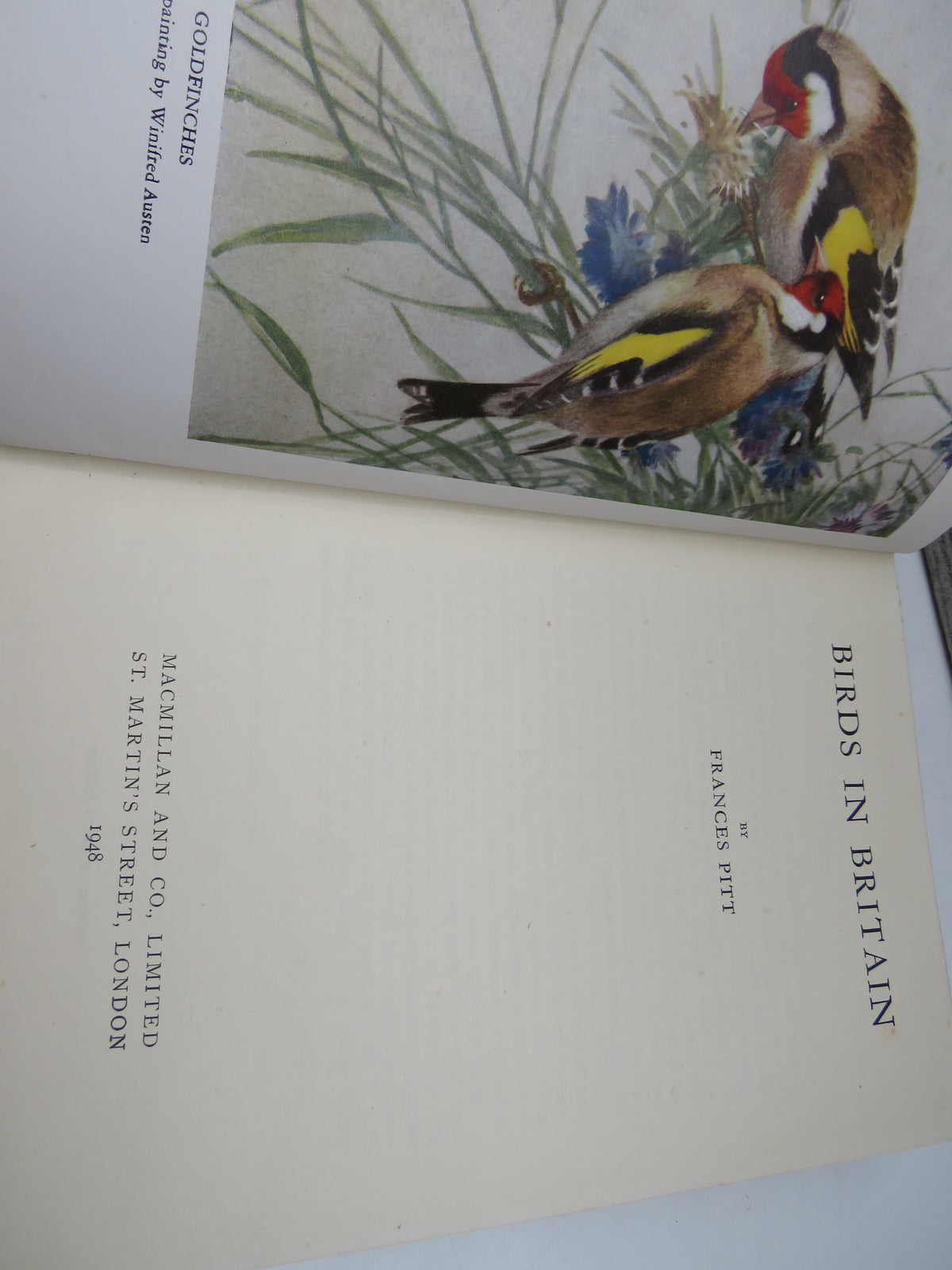 Birds In Britain By Francs Pitt 1948