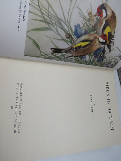 Birds In Britain By Francs Pitt 1948