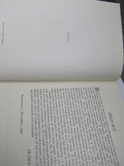 Birds In Britain By Francs Pitt 1948